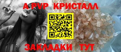 шишки Кимры