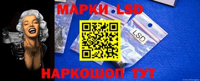 шишки Кимры