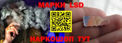 шишки Кимры