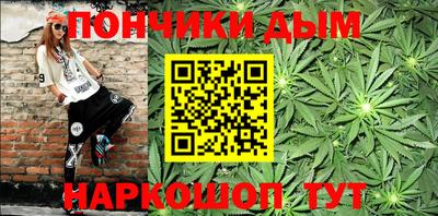 шишки Кимры