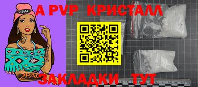 шишки Кимры