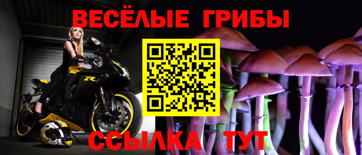 Псилоцибиновые грибы GOLDEN TEACHER Барабинск